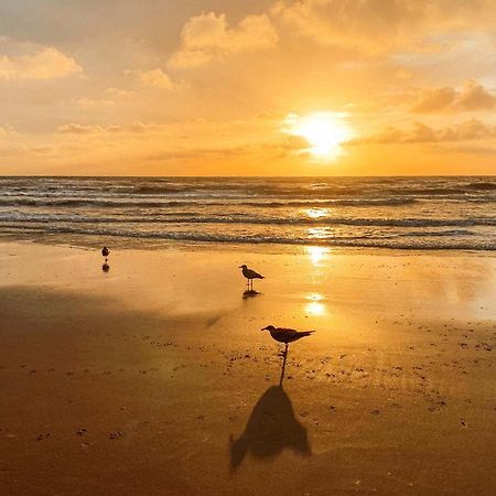 Bed & Beach Noordwijk - Free Parking And Close To Beach! Εξωτερικό φωτογραφία