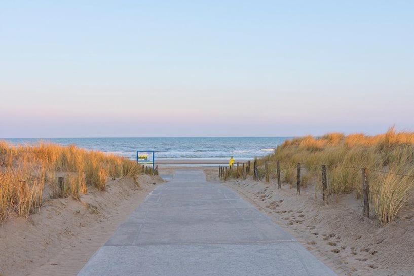 Bed & Beach Noordwijk - Free Parking And Close To Beach! Εξωτερικό φωτογραφία
