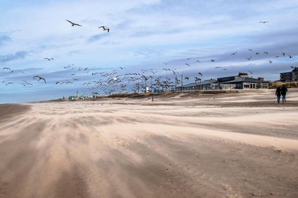 Bed & Beach Noordwijk - Free Parking And Close To Beach! Εξωτερικό φωτογραφία